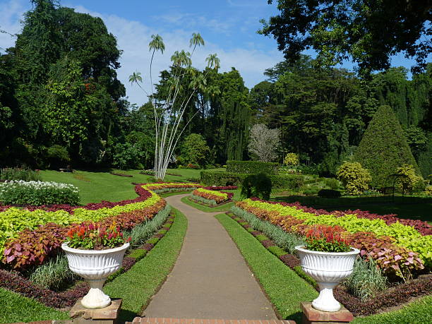 istock Garden with Flowers and Palms 153736846