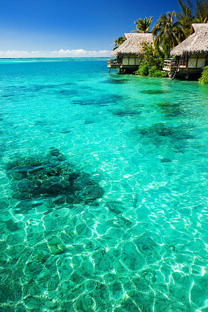istock Over water bungalows with steps into amazing lagoon 153736961