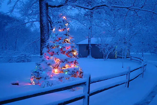 CHRISTMAS TREE WITH LIGHTS