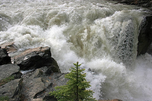 Sunwapta Falls stock photo