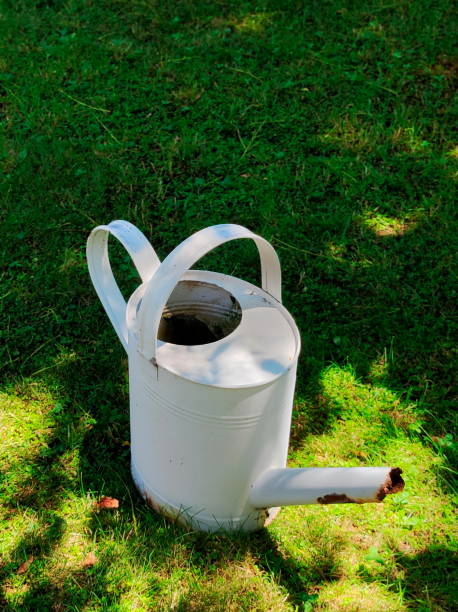 istock a white old and rusted watering can 1537385867
