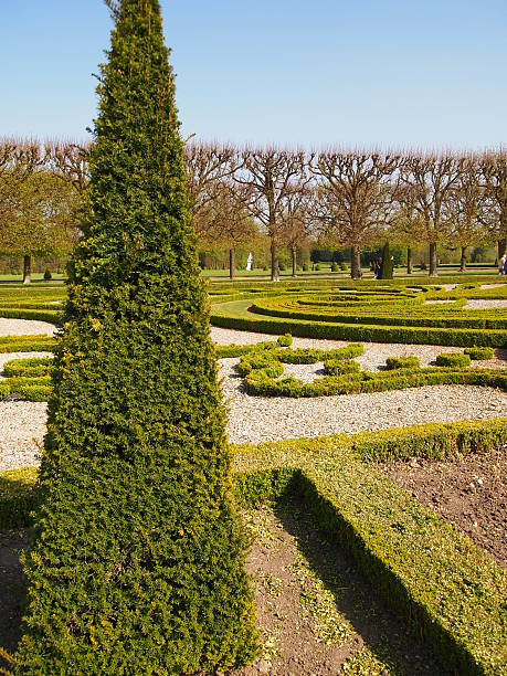 Nice french garden with a fir triangular tree in the stock photo