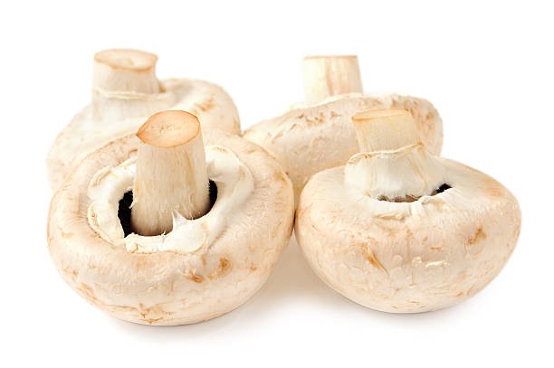 Mushrooms Isolated on a White Background stock photo