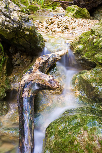 brook stock photo