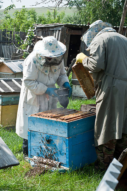 Bee-keepers stock photo