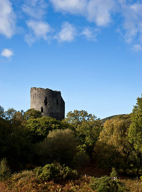Dolbadarn castle. stock photo