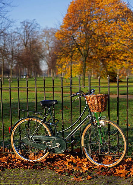 Green vintage bicycle, with basket, leaning against a iron fence at Hyde Park, London.