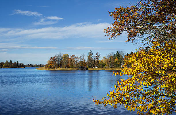 istock Autumnal landscape in Bavaria 153741422