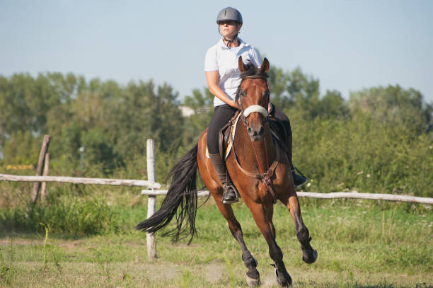 istock girl riding a horse 153741444