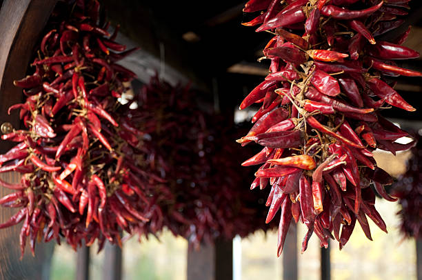istock Dried hungarian red pepper 153741876