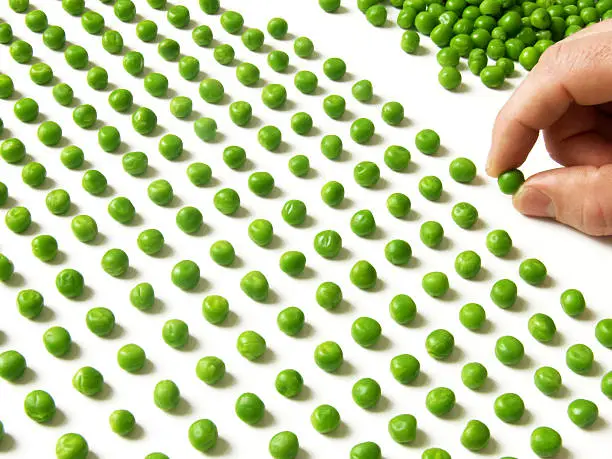 Photo of count peas