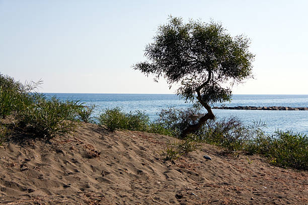 istock Beach in Limassol,Cyprus 153742870