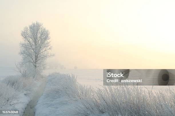 Winterlandschaft In Der Abenddämmerung Stockfoto und mehr Bilder von Abenddämmerung - Abenddämmerung, Ast - Pflanzenbestandteil, Baum