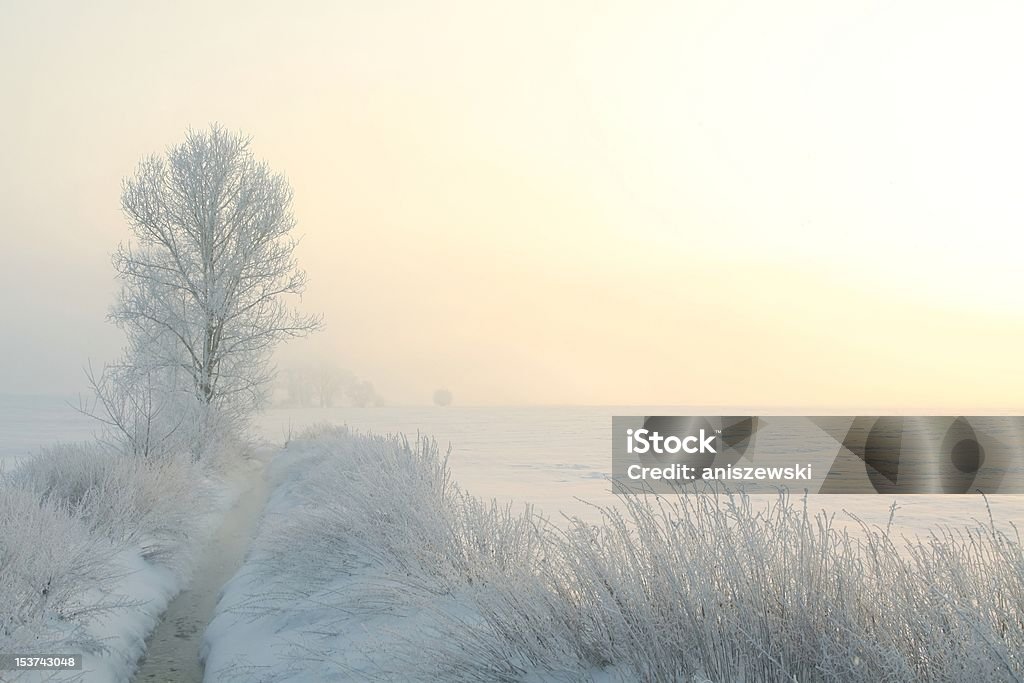 Inverno paesaggio dell'alba - Foto stock royalty-free di Alba - Crepuscolo