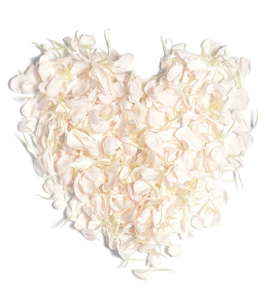 istock Pink petals in heart shape 153743685