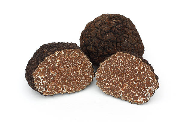 black truffle mushrooms stock photo
