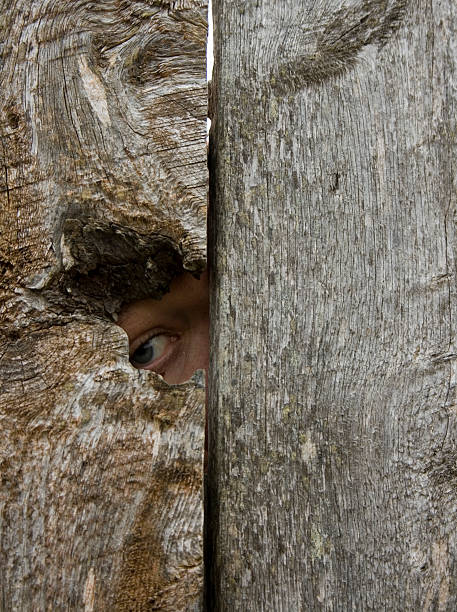 istock Eye looking out a knot hole 153743869