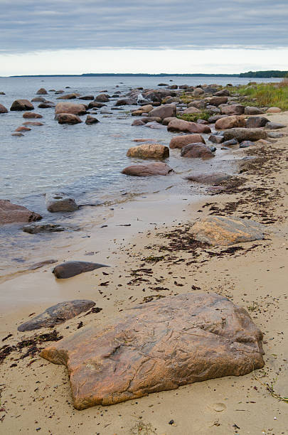 istock Stones on coast of Baltic sea 153743901