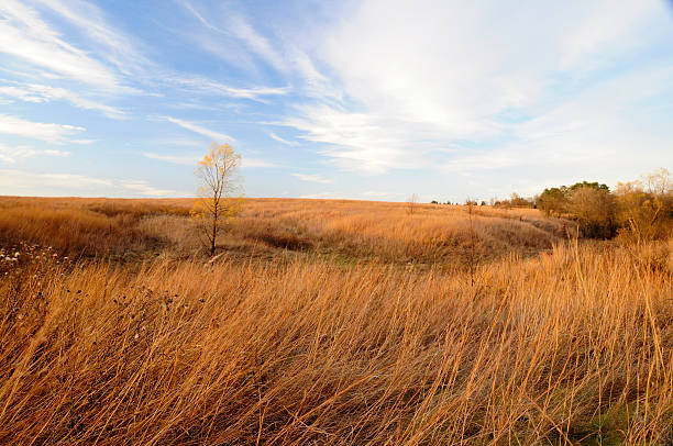nebraska alto grama pradaria - nebraska midwest usa farm prairie imagens e fotografias de stock