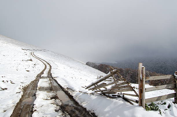 Road in the snow stock photo