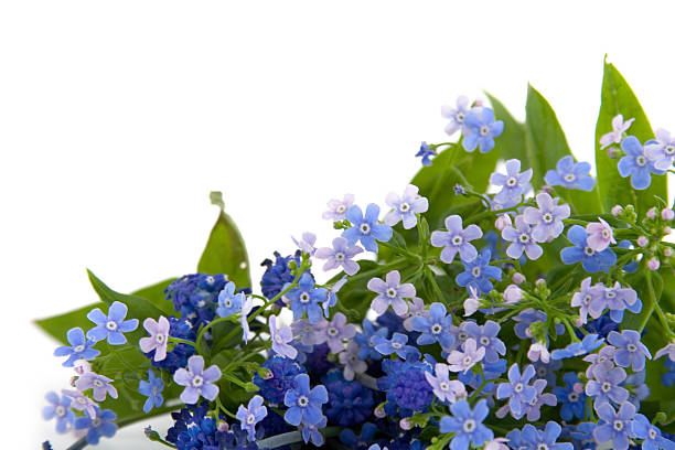 istock Bouquet of spring flowers 153744496