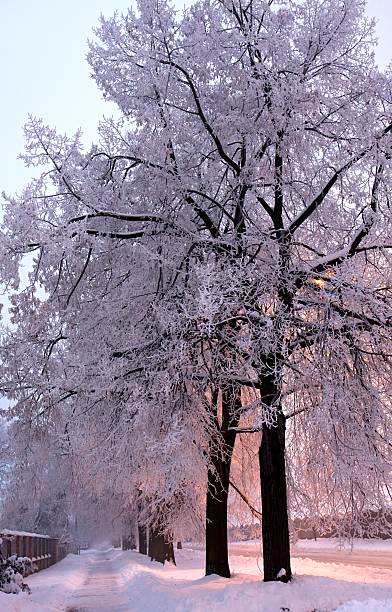 istock Winter road in the town 153745334