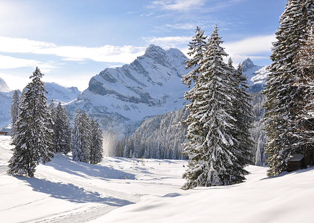 istock Braunwald, famous Swiss skiing resort 153746050
