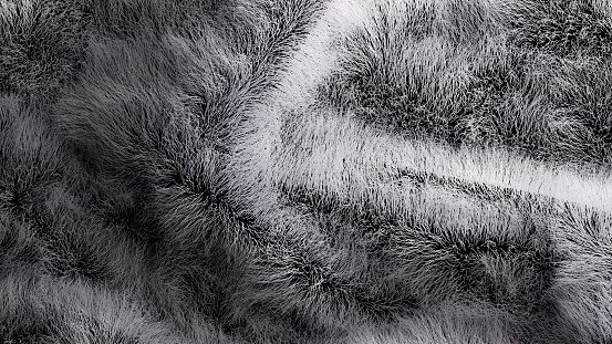 Grey fur blanket closeup