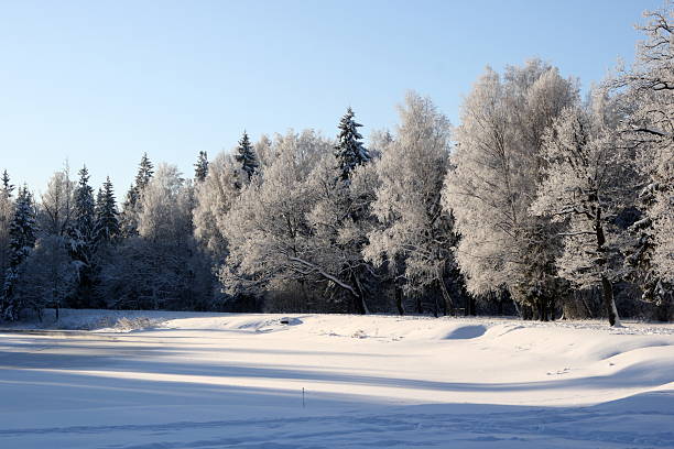 Winter lake stock photo