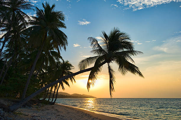 istock A photo of Samui island at sunset 153747743