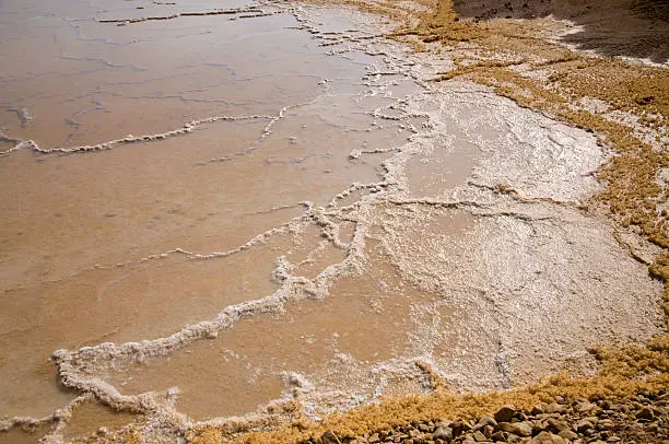 Dead-Sea shore with salt lines in it