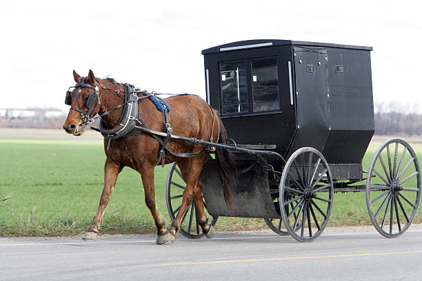 istock Amish family for buggy ride 153748788