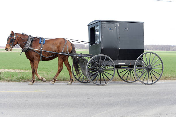 istock Amish Sunday drive 153748798