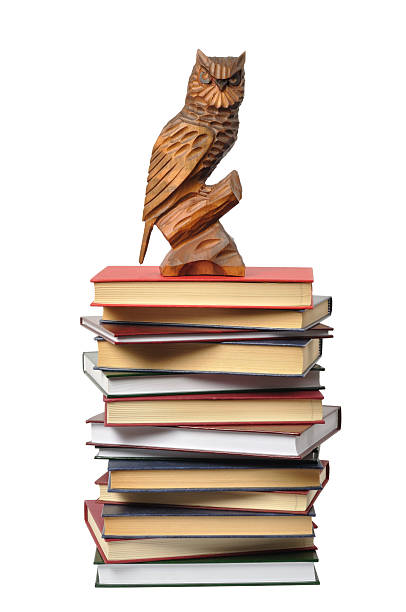 istock Wooden Owl and Books 153748976