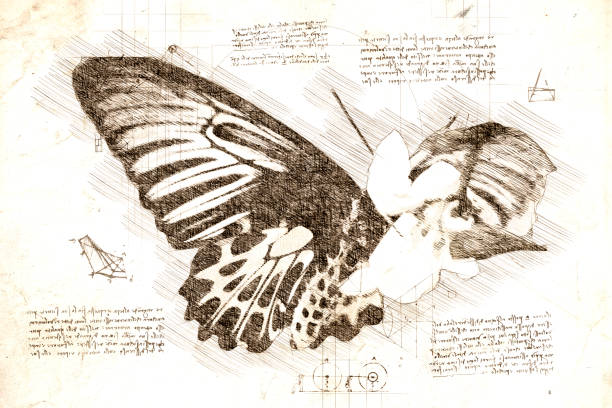 istock Sketch of  tropical butterfly in da Vinci style 1537494419