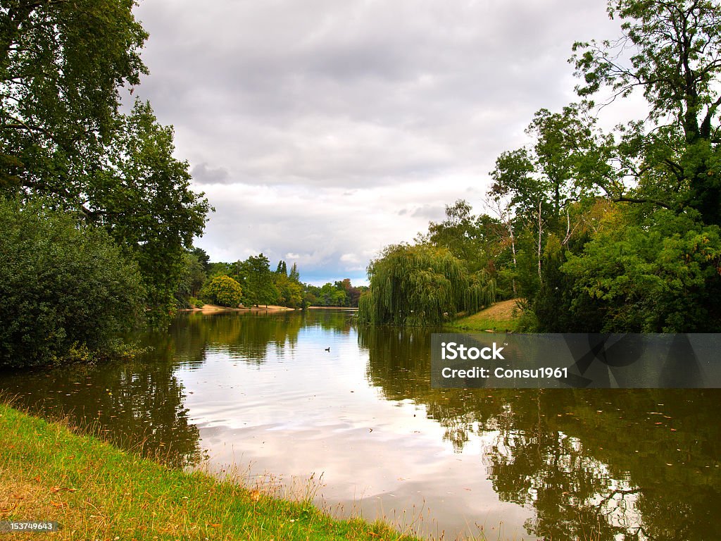 Bosque de Bologne - Foto de stock de Agua libre de derechos