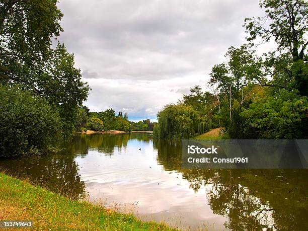 Bosque De Bologne Foto de stock y más banco de imágenes de Agua - Agua, Aire libre, Ajardinado