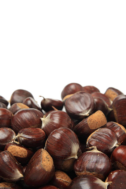 Isolated macro image of raw chestnuts stock photo