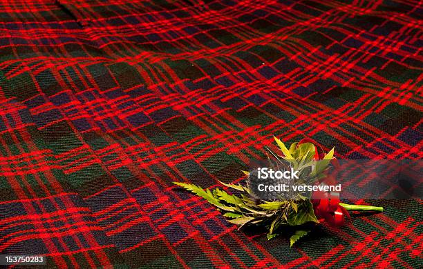 Thistle Knopfloch Auf Tartankilt 2 Stockfoto und mehr Bilder von Schottische Kultur - Schottische Kultur, Hochzeit, Sporran