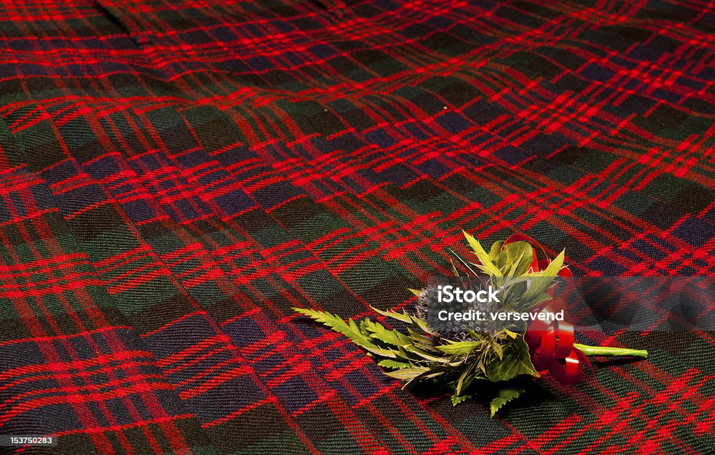엉겅퀴 buttonhole on 타탄 킬트 2 - 로열티 프리 스코틀랜드 문화 스톡 사진