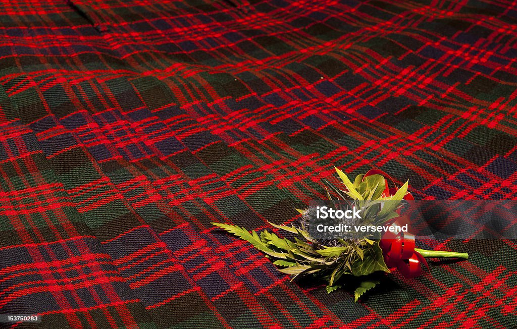 Thistle z dziurkami do guzików na tartan kilt 2 - Zbiór zdjęć royalty-free (Kultura szkocka)