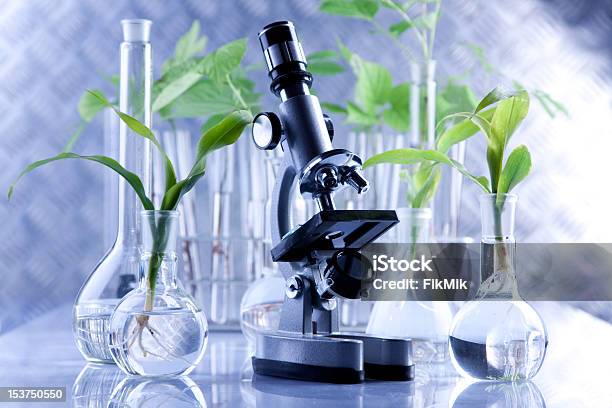 Genetische Labor Stockfoto und mehr Bilder von Blatt - Pflanzenbestandteile - Blatt - Pflanzenbestandteile, Blau, Forschung