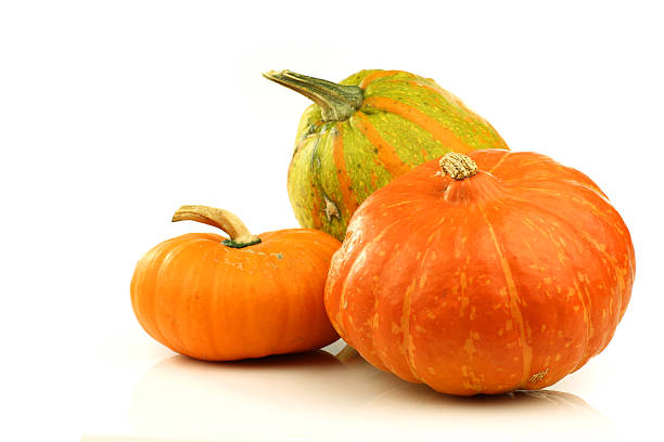 istock orange ornamental pumpkins 153750611