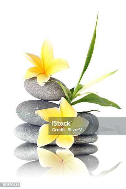 Flores Amarelas Nas Pedras Empilhadas - Fotografias de stock e mais imagens de Amarelo - Amarelo, Aromaterapia, Branco