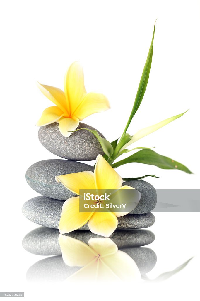 Желтые цветы на наборной камнями - Стоковые фото Арома�терапия роялти-фри