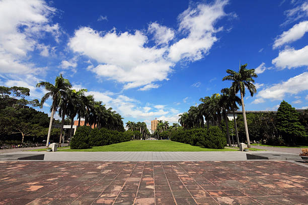 famous Royal Palm Boulevard