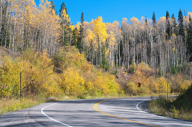 istock Road to Mesa Lakes in Autumn 153751147
