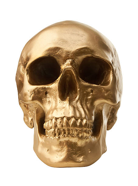 istock Golden skull on white background 153751351