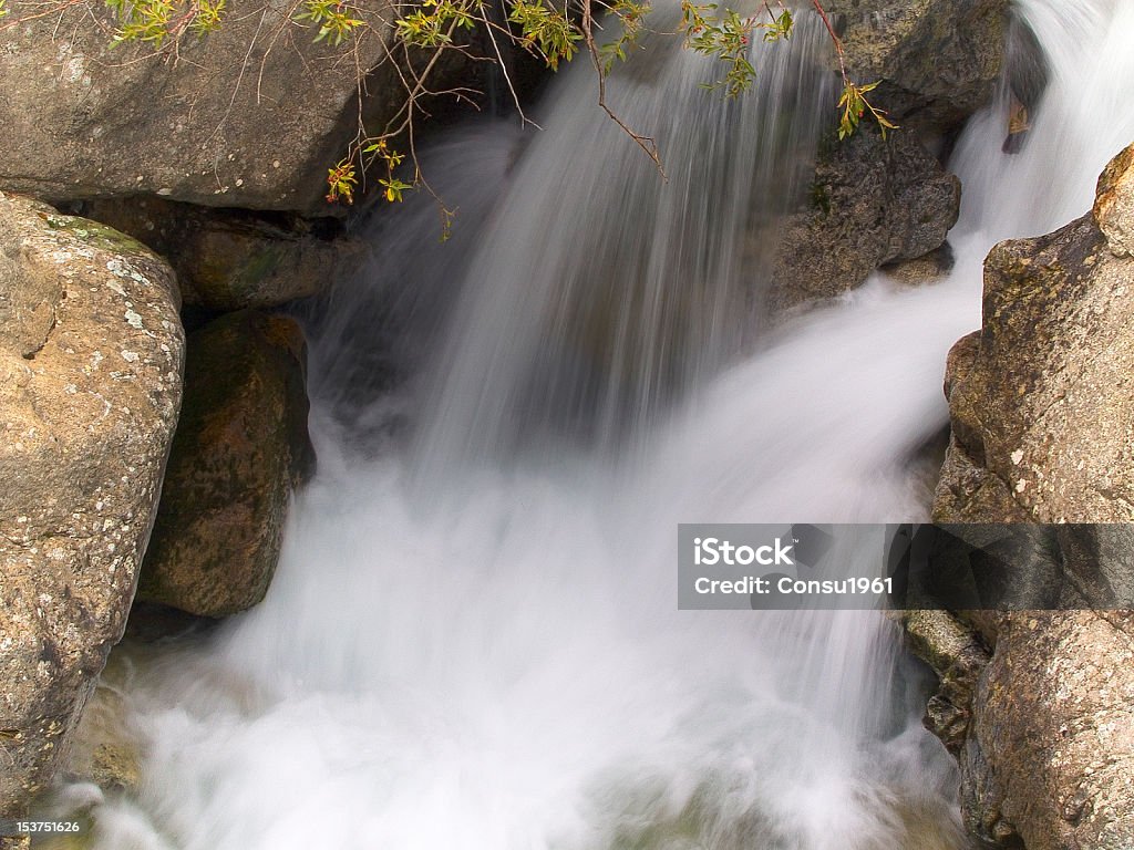 Pequeño - Foto de stock de Agua libre de derechos