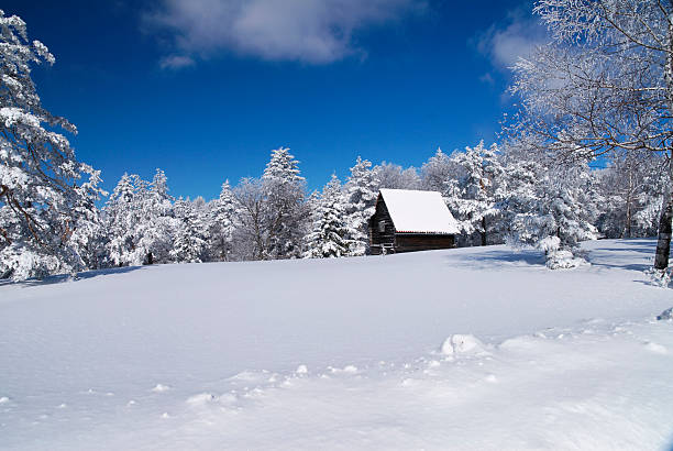 istock Mountain house in snow 153752090